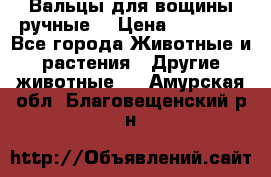 Вальцы для вощины ручные  › Цена ­ 10 000 - Все города Животные и растения » Другие животные   . Амурская обл.,Благовещенский р-н